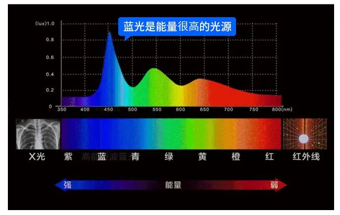 澳洲唐人街