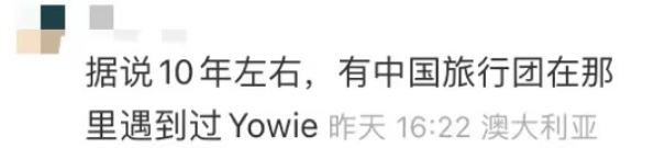 澳洲唐人街