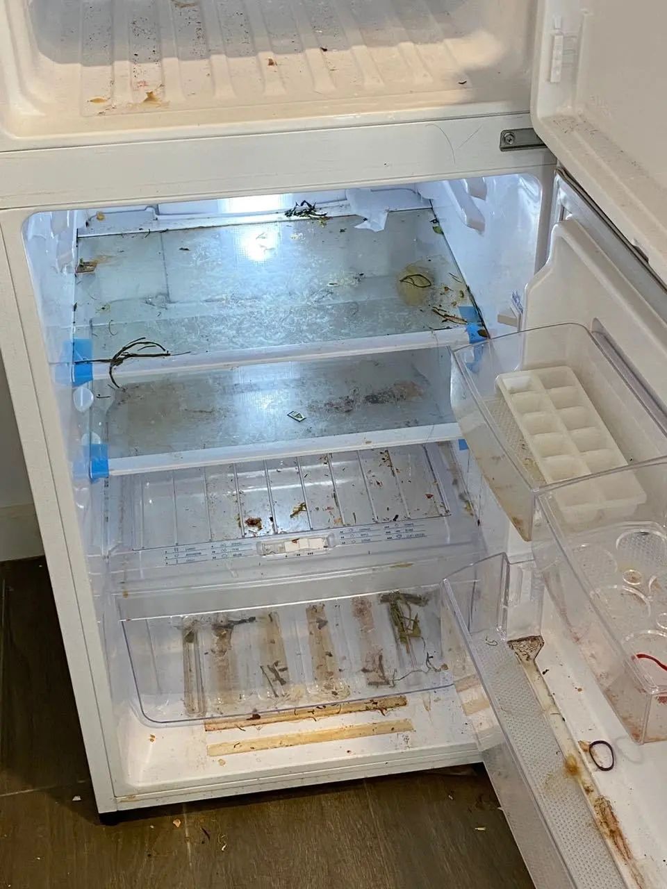 澳洲唐人街