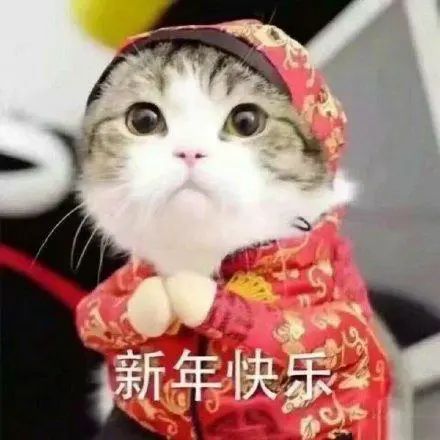 澳洲唐人街