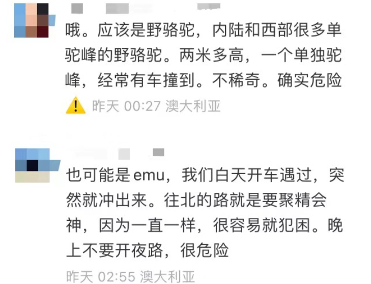 澳洲唐人街