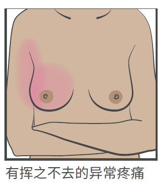 澳洲唐人街