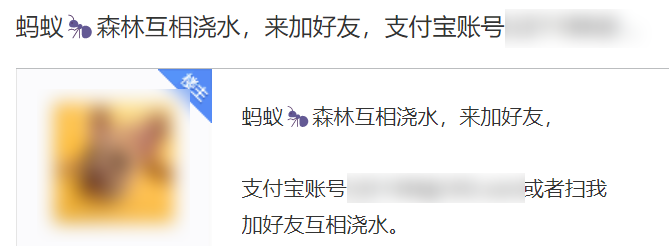 澳洲唐人街