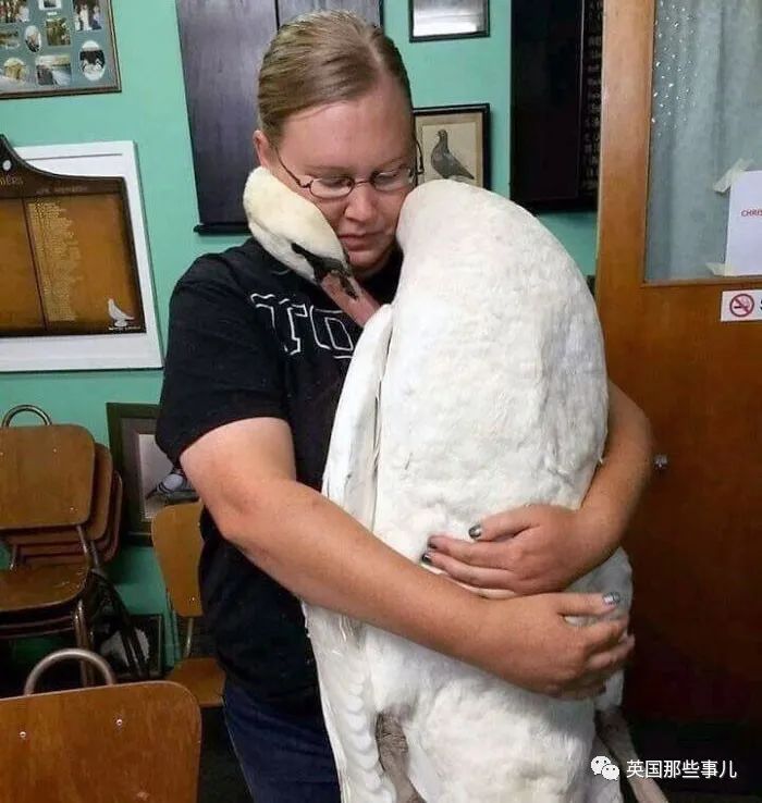 澳洲唐人街