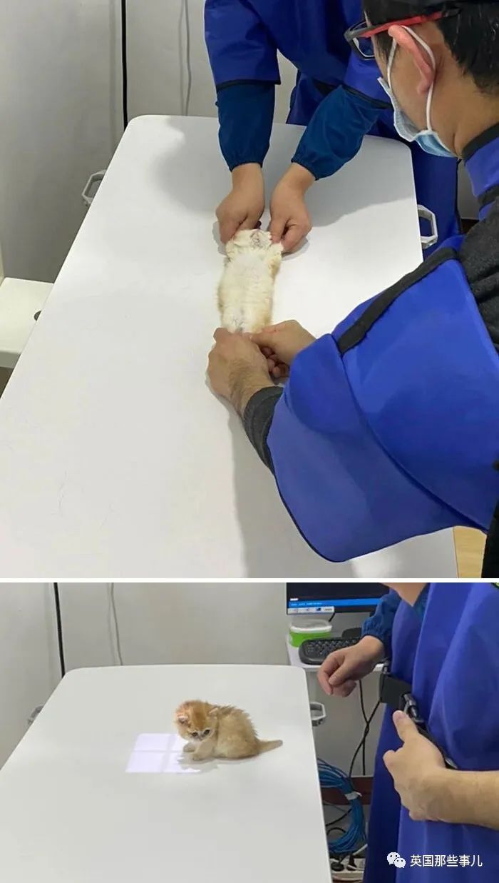 澳洲唐人街