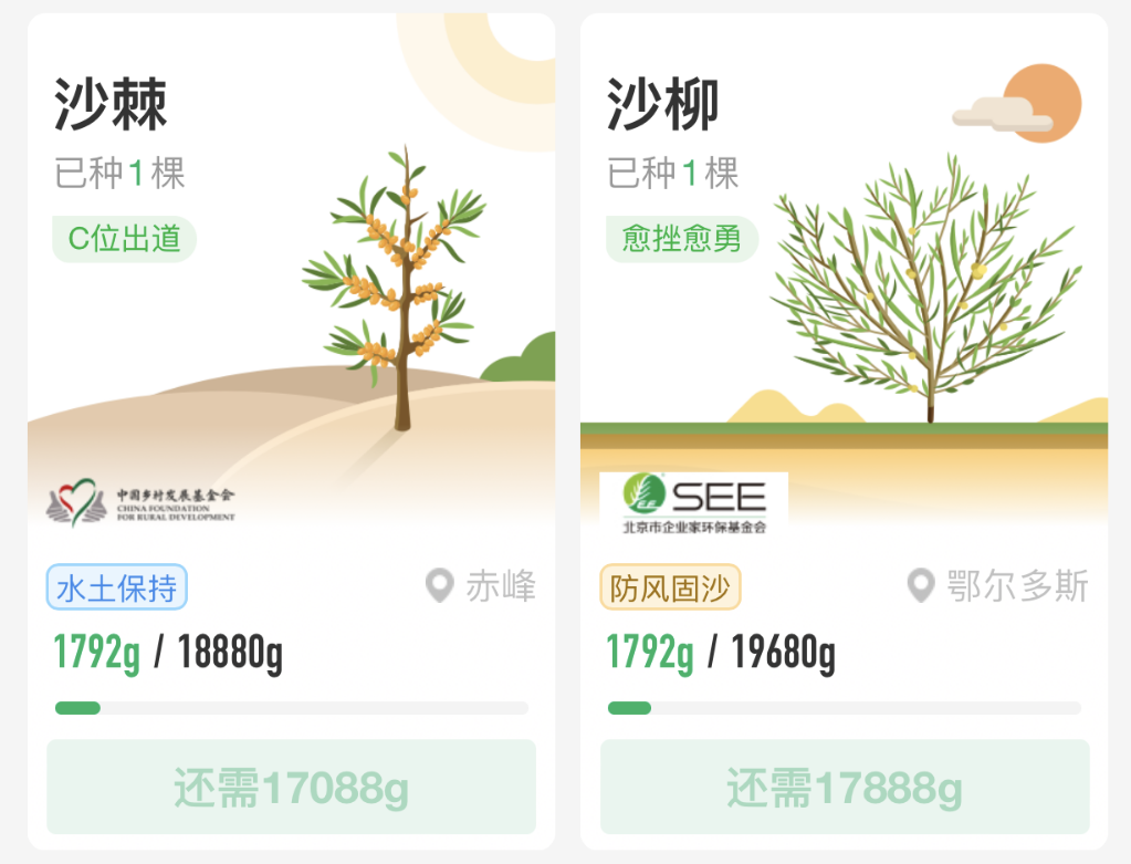 澳洲唐人街