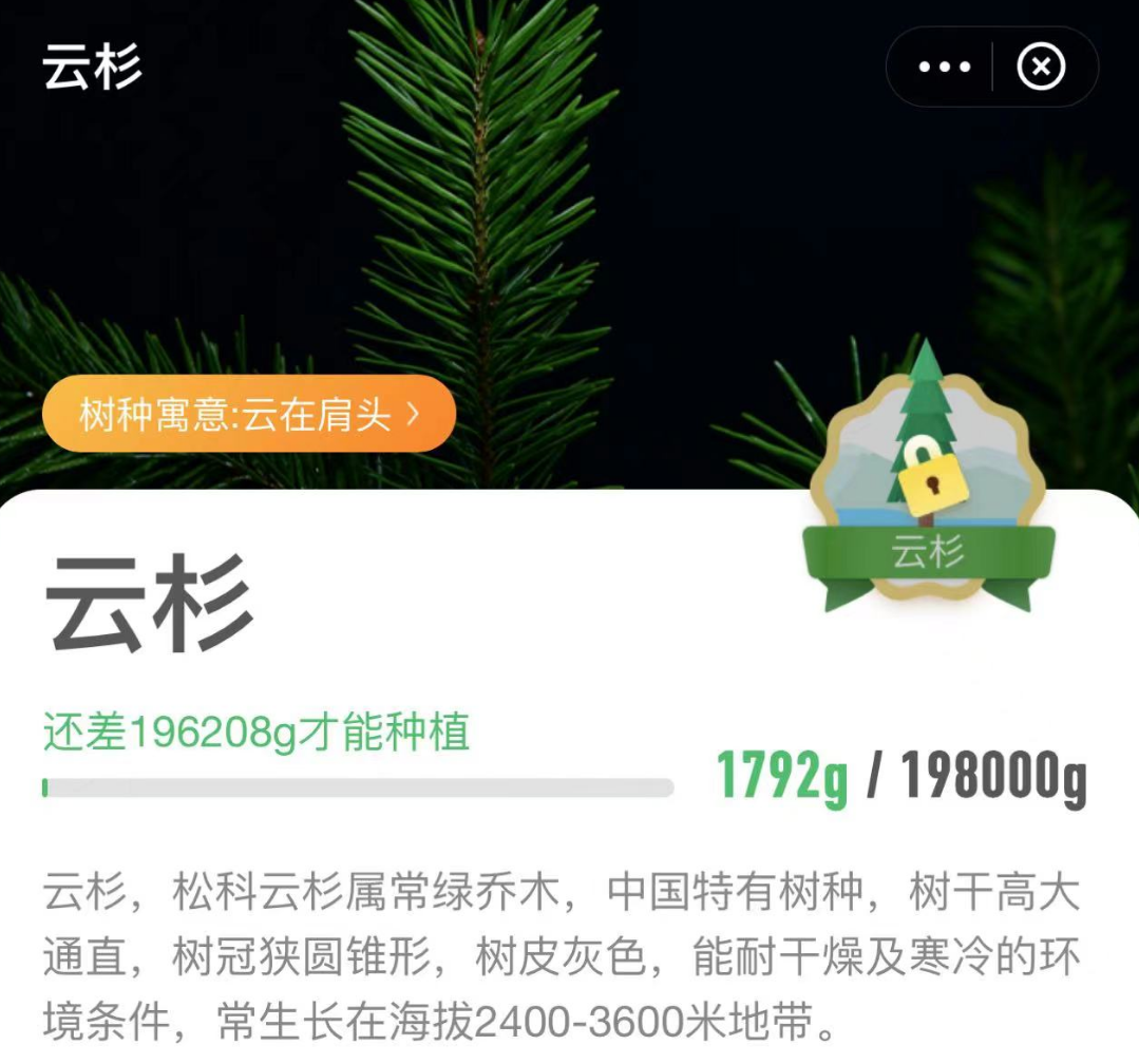 澳洲唐人街