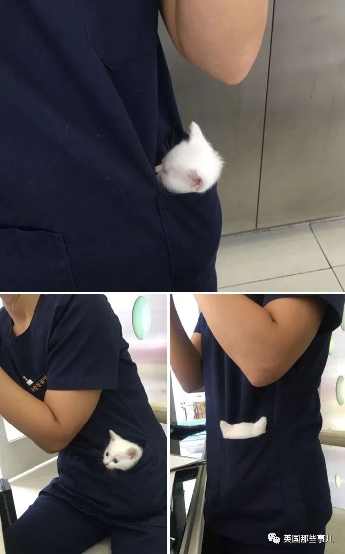 澳洲唐人街