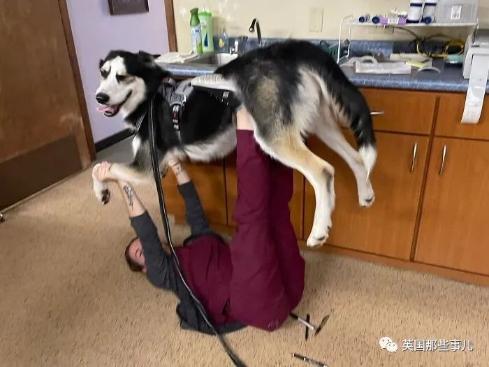 澳洲唐人街
