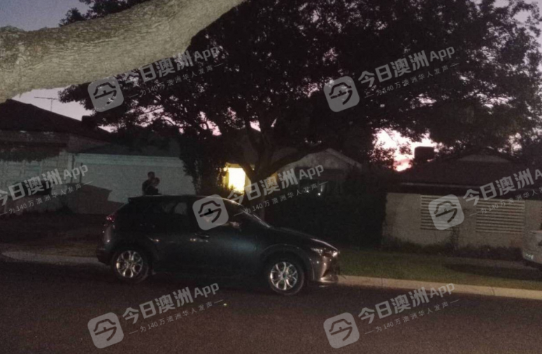 澳洲唐人街