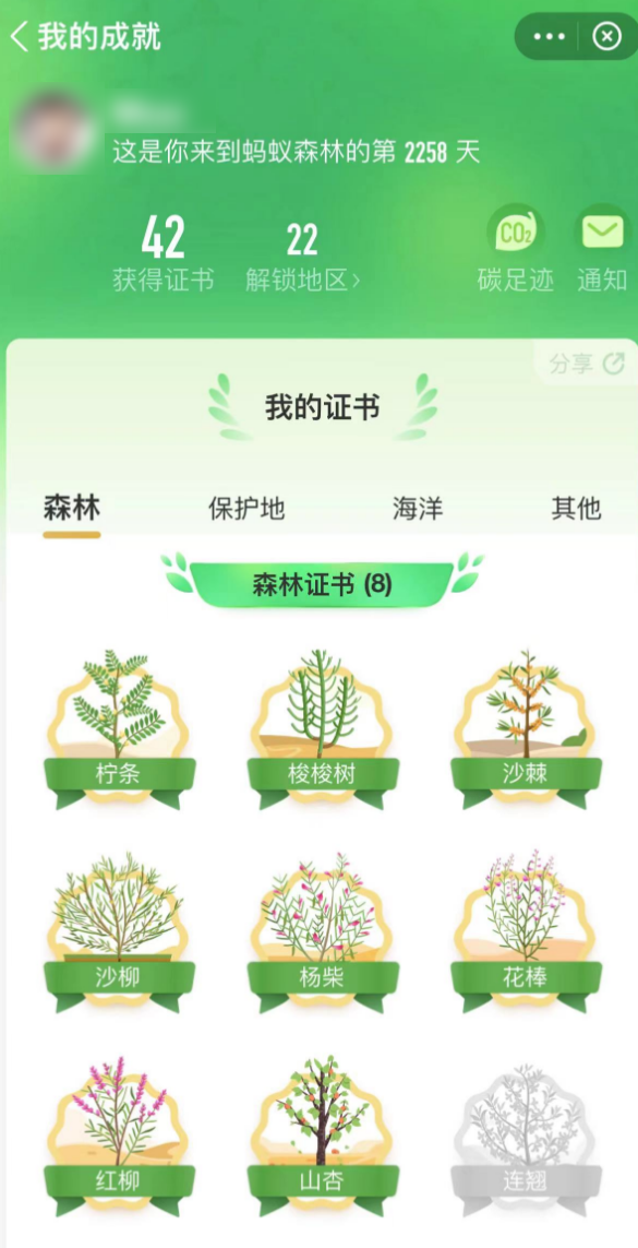 澳洲唐人街