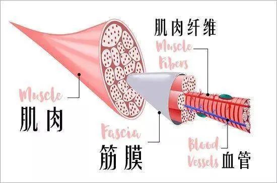 澳洲唐人街