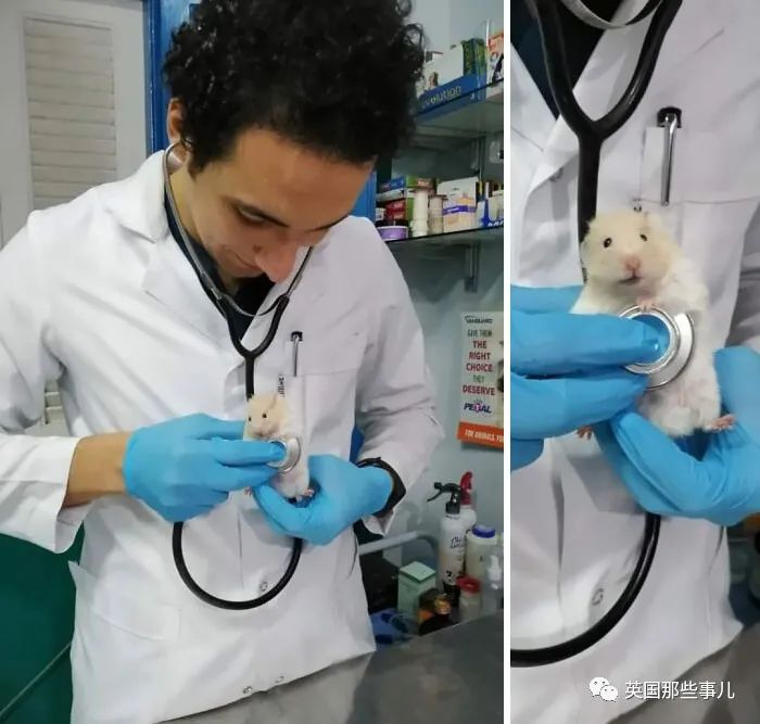 澳洲唐人街