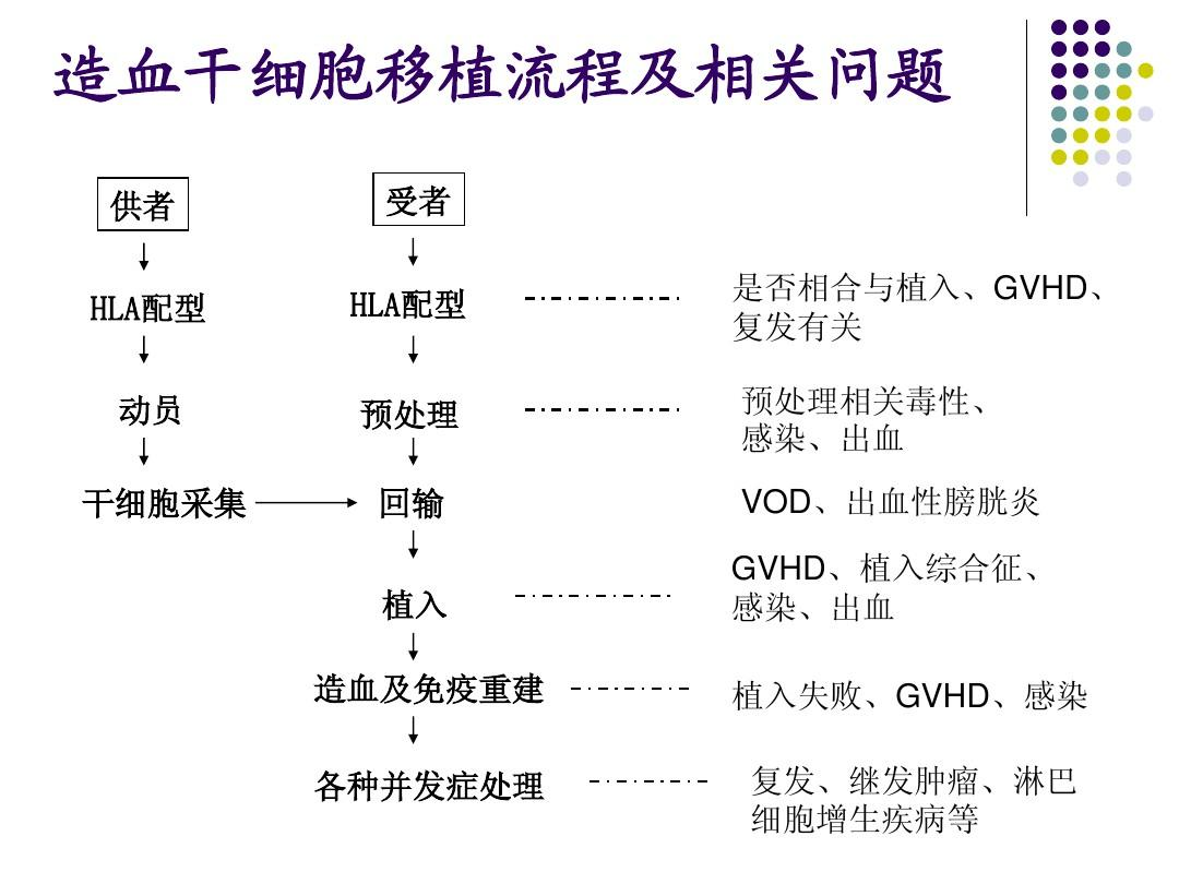 澳洲唐人街