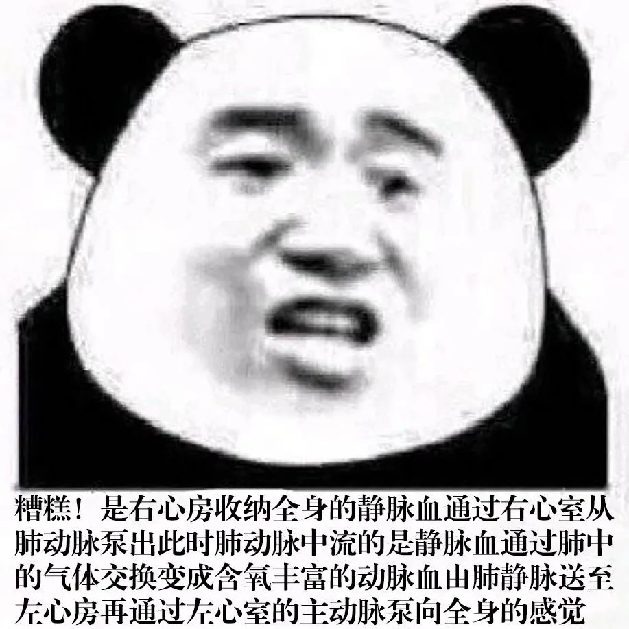 澳洲唐人街